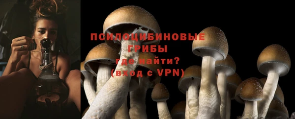 дживик Осинники