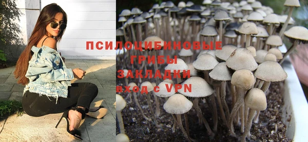 дживик Коряжма