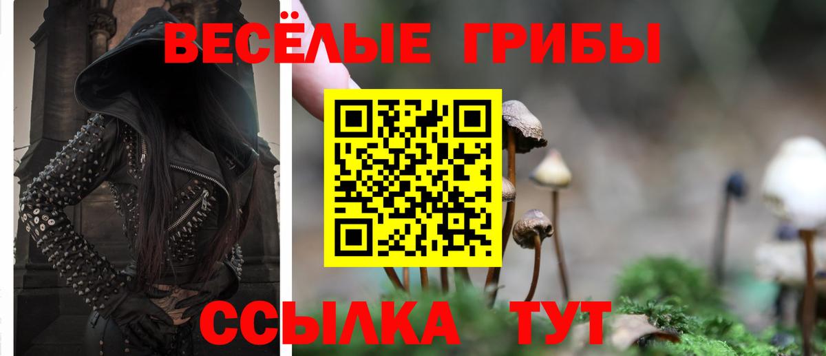 Меф Костомукша