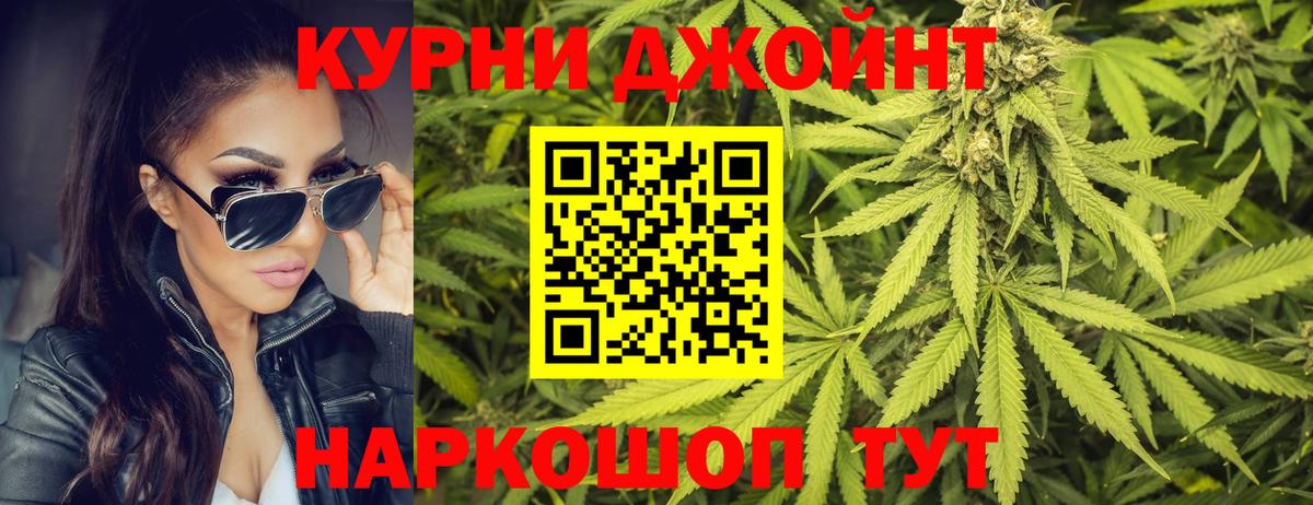 Бошки Шишки планчик  Бошки Шишки SATIVA & INDICA  Вход с VPN  Костомукша  Конопля семена 